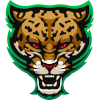 Лого RUSH Gaming