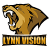 Лого Lynn Vision