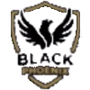 Лого Black Phoenix