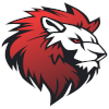 Лого Leo Team